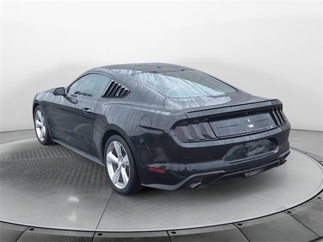 2019 Ford Mustang EcoBoost Premium photo 3