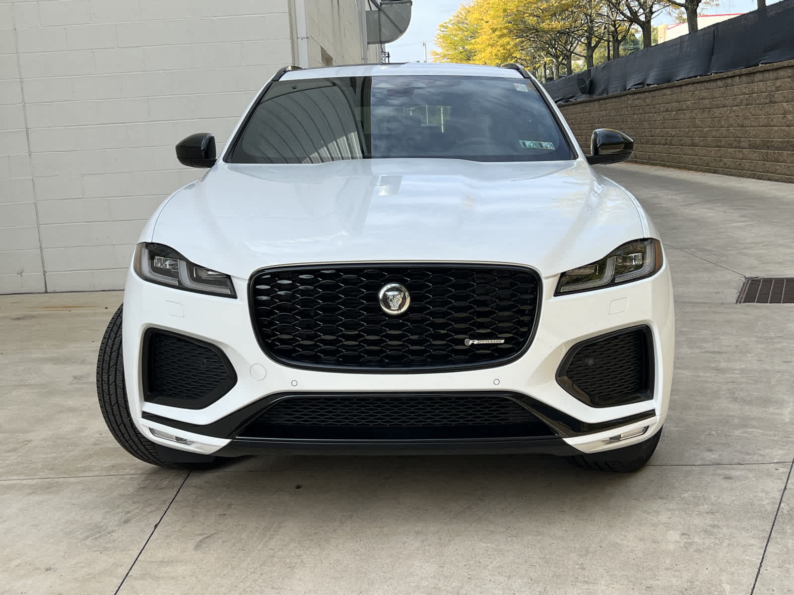 2024 Jaguar F-PACE P250 R-Dynamic S photo 2