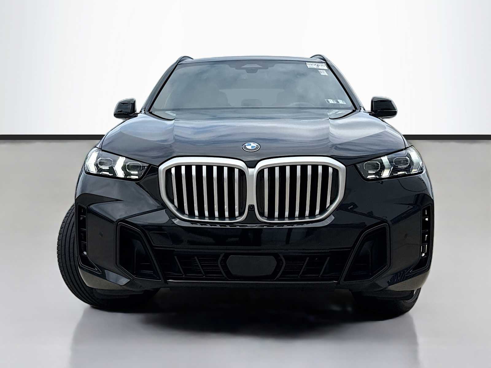 5UX23EU09T9155068