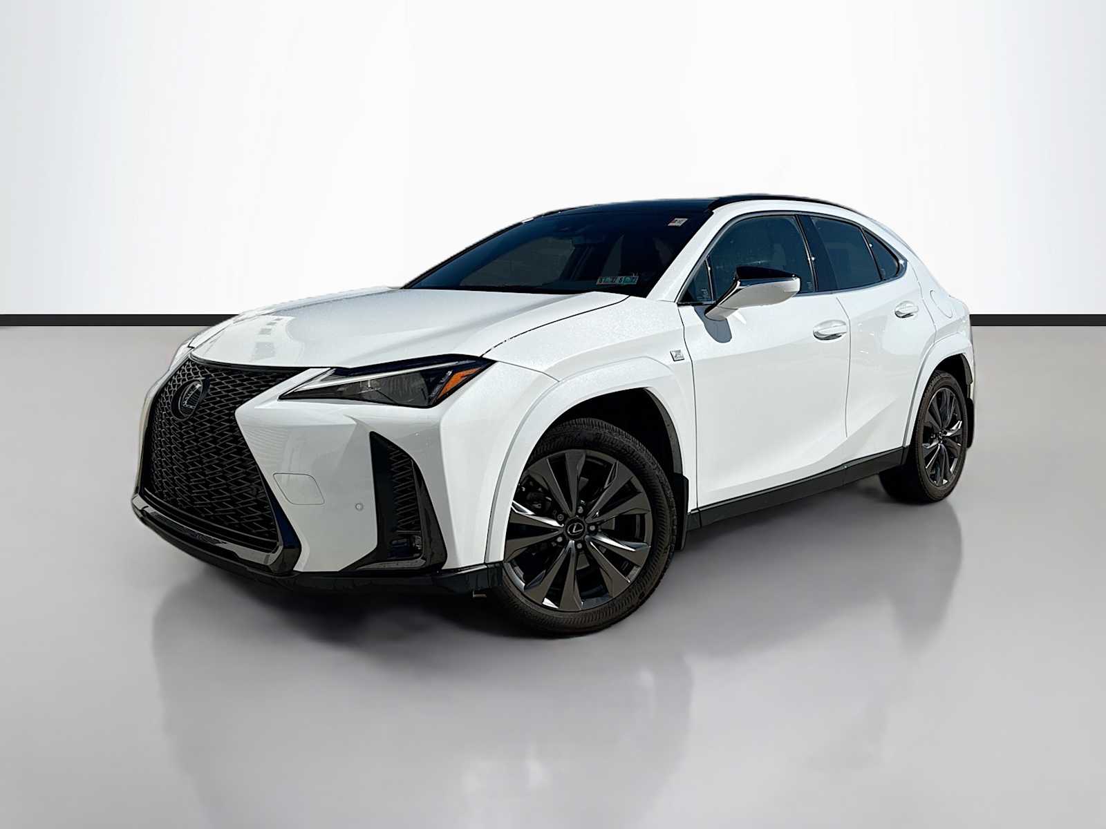 2023 Lexus UX 300h 250h F Sport Design AWD's photo