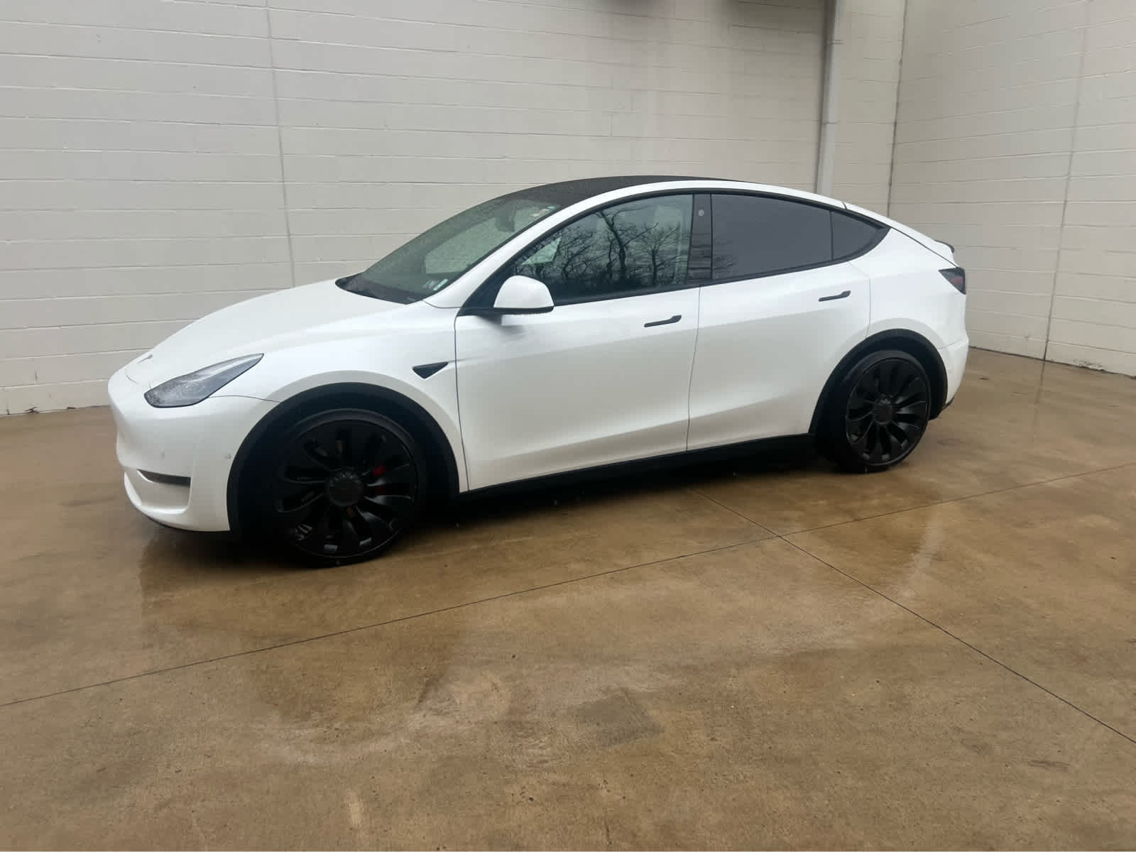 2022 Tesla Model Y Performance photo 2