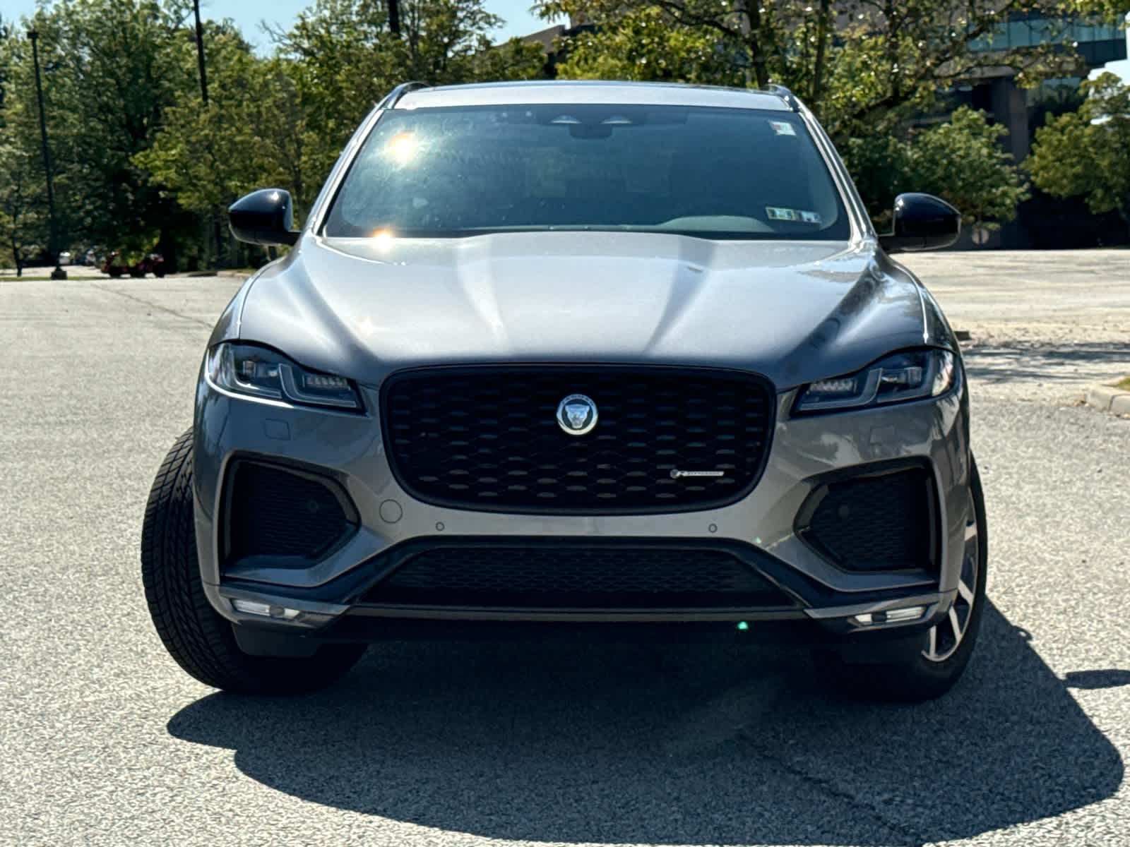 2025 Jaguar F-PACE P250 R-Dynamic S photo 2