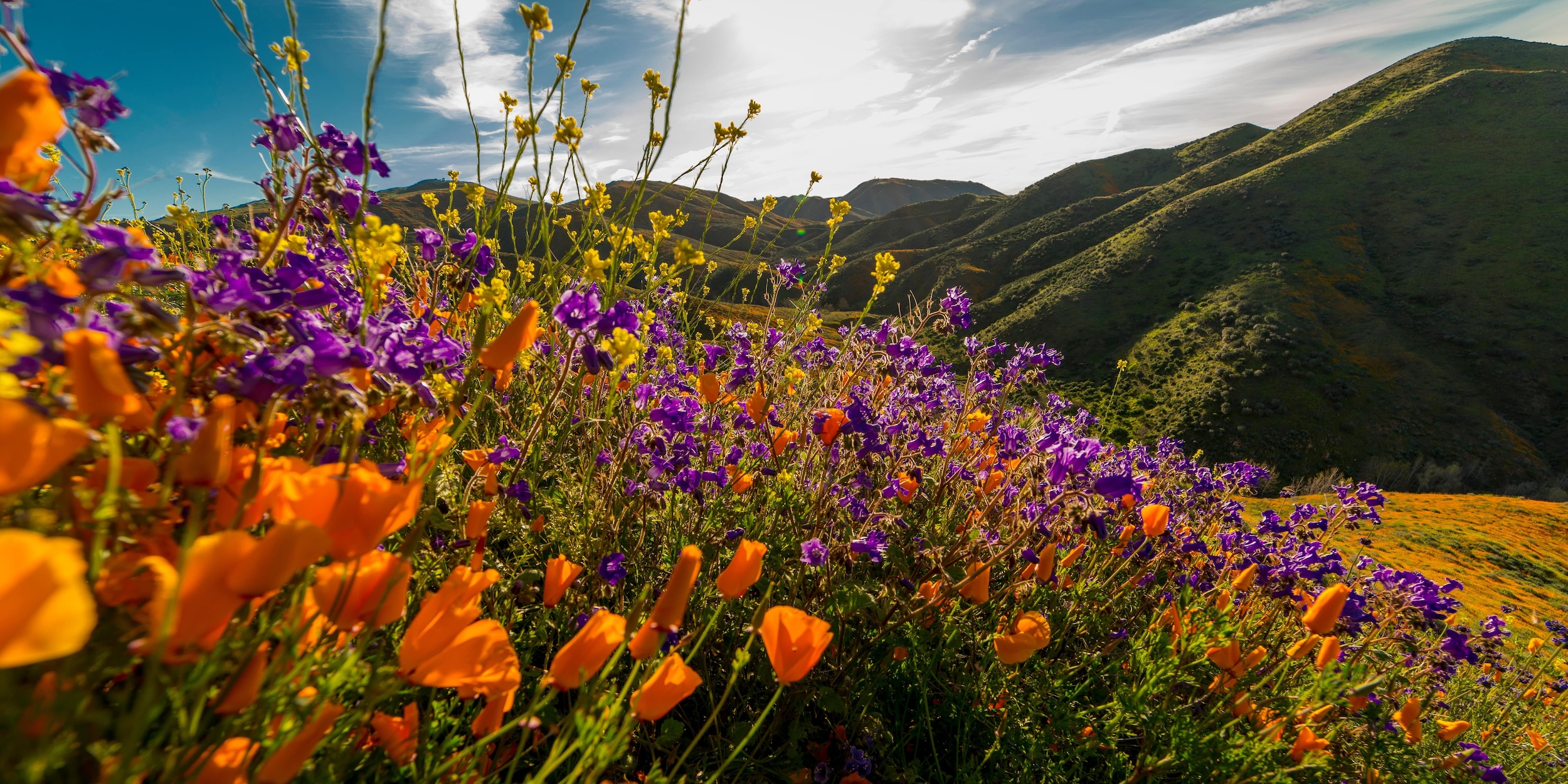 History of Lake Elsinore