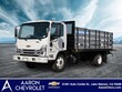 Chevrolet Low Cab Forward 5500 HD