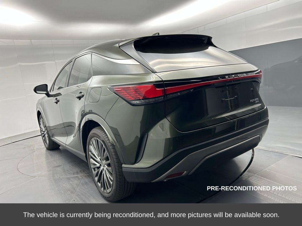 2023 Lexus RX 350 Luxury photo 3