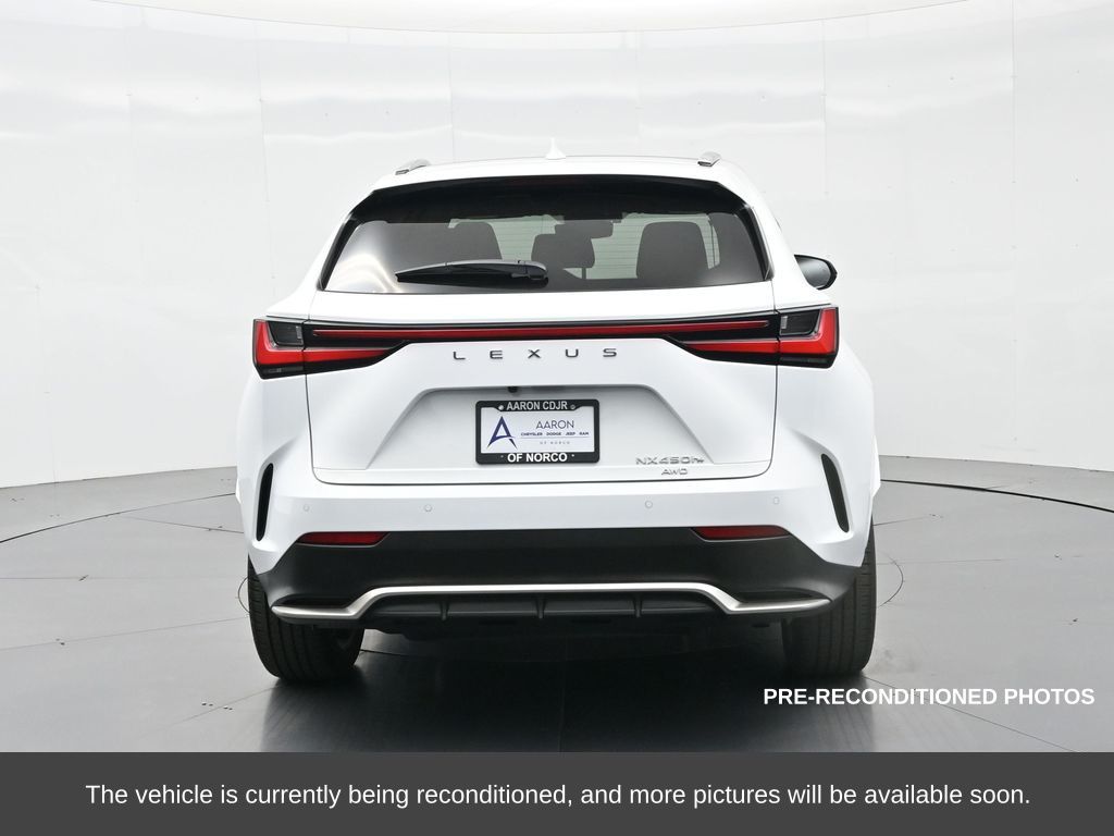 2025 LEXUS NX 450h+ F SPORT Handling photo 3
