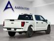 2025 Ford F-150 STX Truck