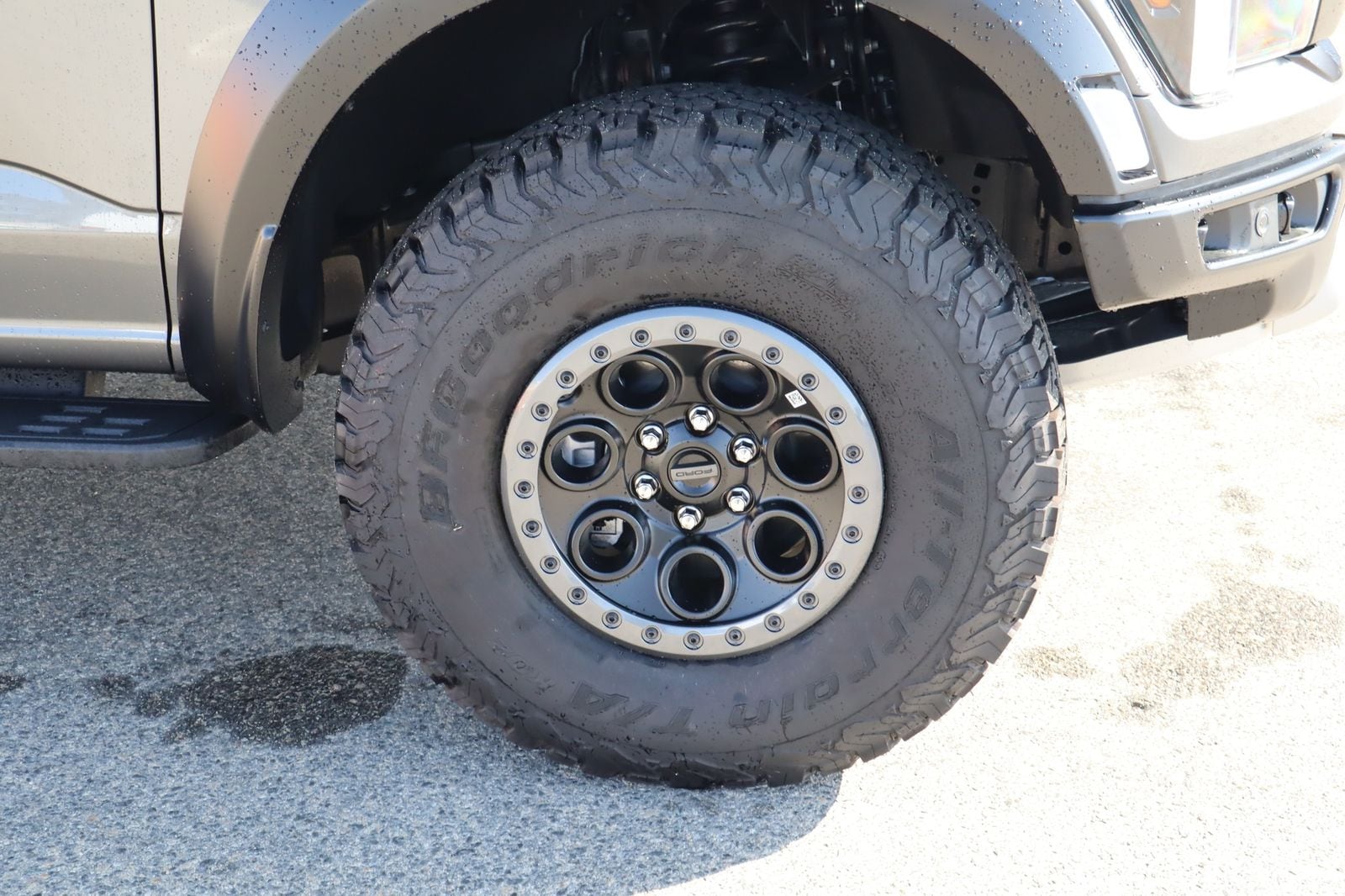 2025 Ford F-150 Raptor - Photo 10