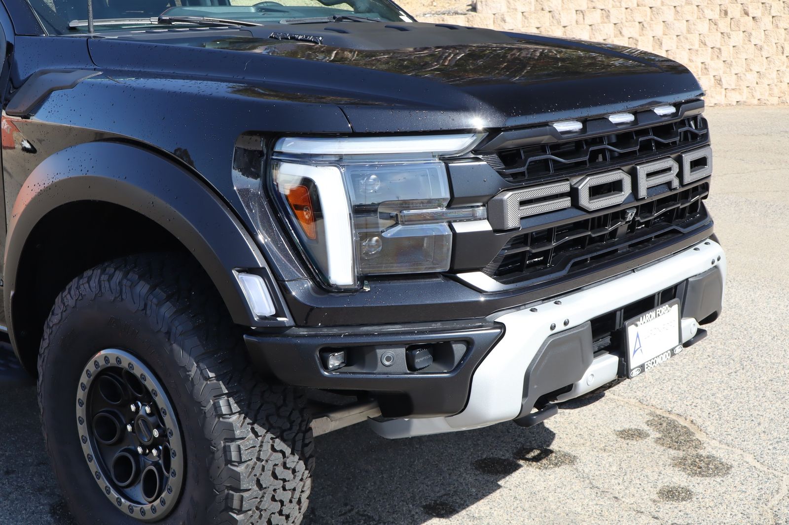 2025 Ford F-150 Raptor - Photo 9