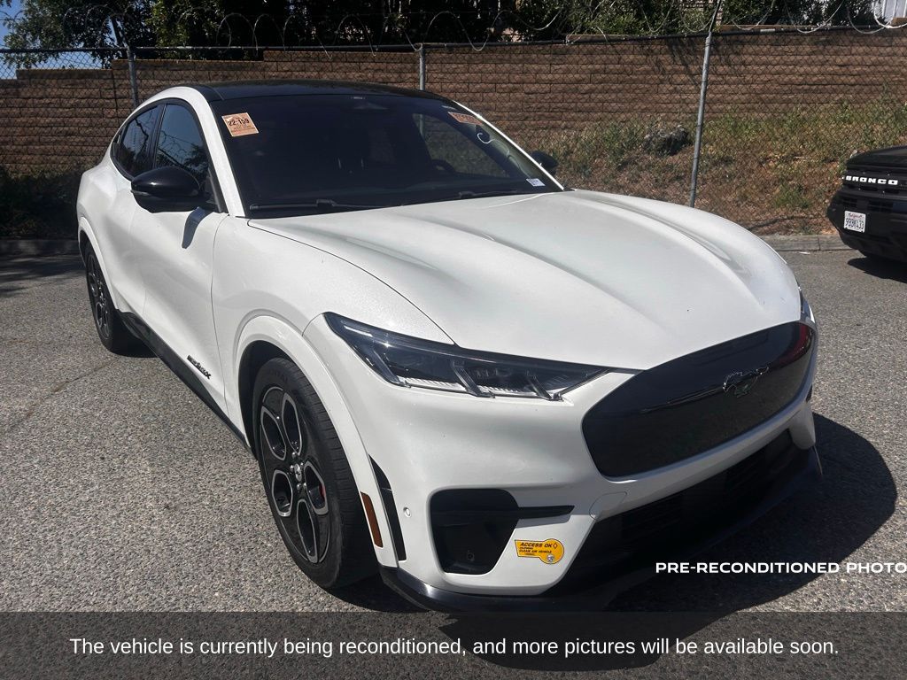 2022 Ford Mustang Mach-E GT photo 3