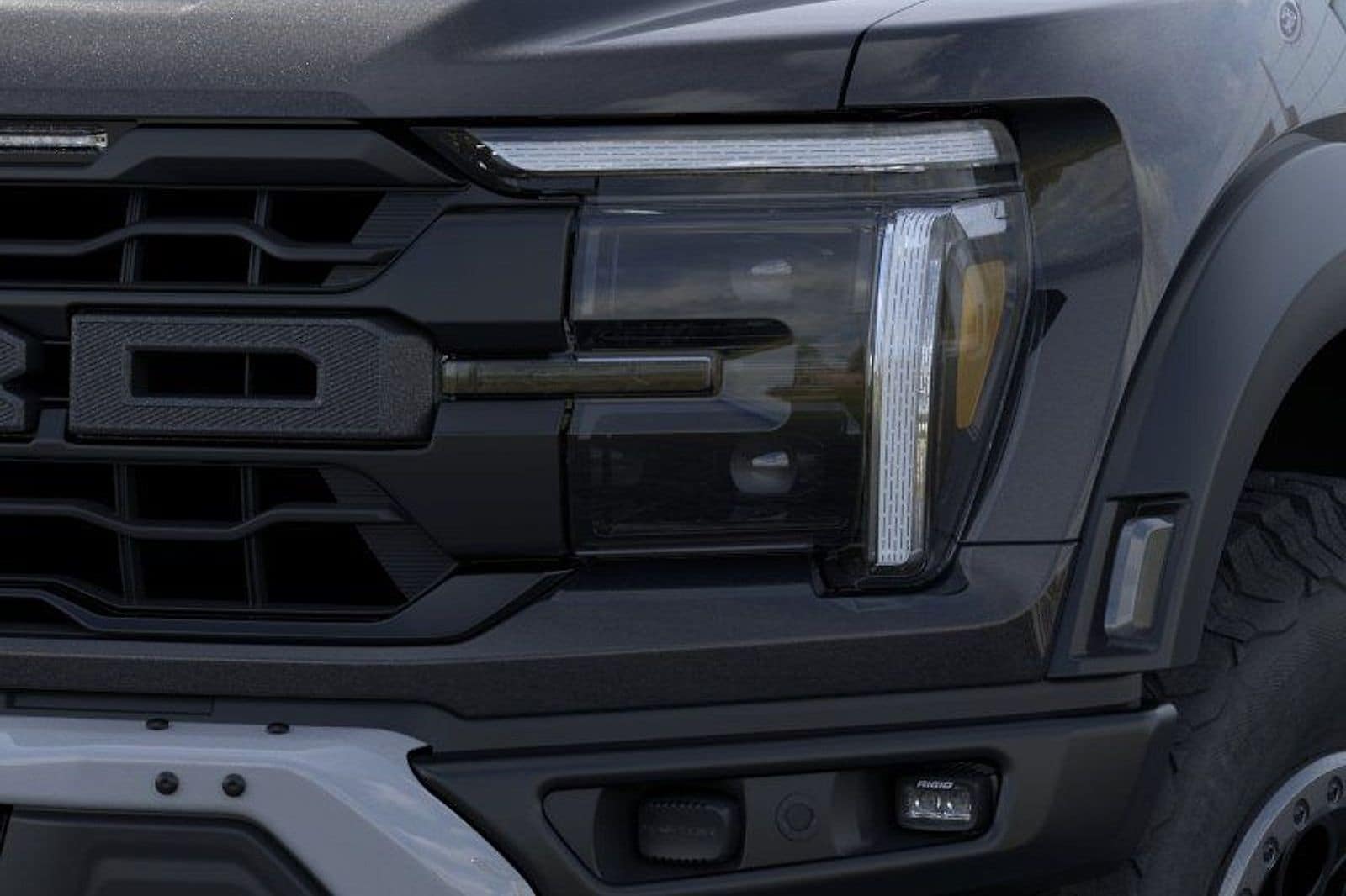2025 Ford F-150 Raptor - Photo 22