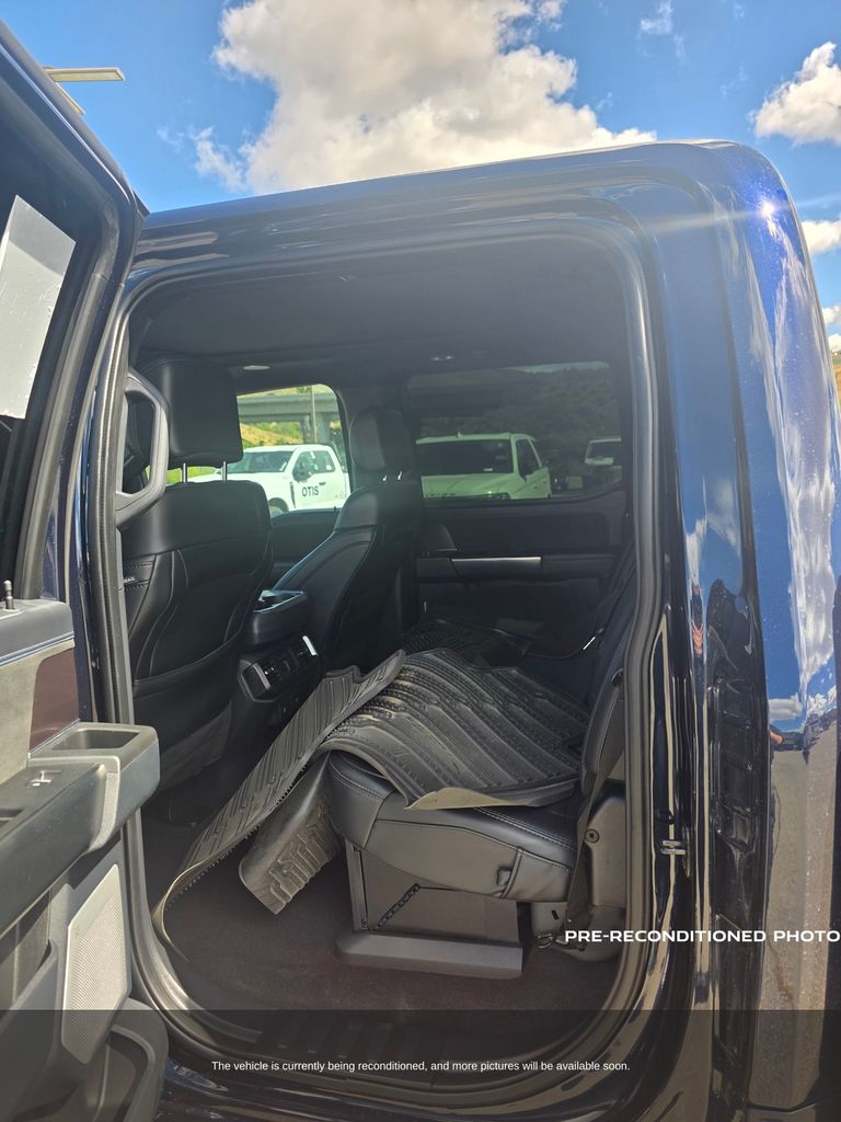 2024 Ford F-150 Platinum photo 6