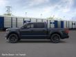 2025 Ford F-150 STX Truck