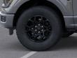 2026 Ford F-150 STX Truck