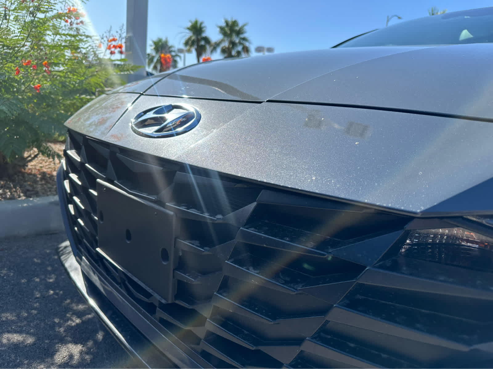 2023 Hyundai Elantra Blue 8