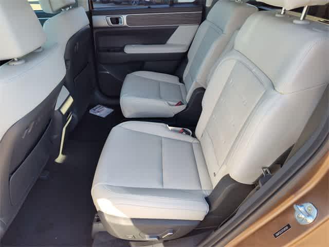 Thumbnail: 2026 Hyundai Santa Fe - 17