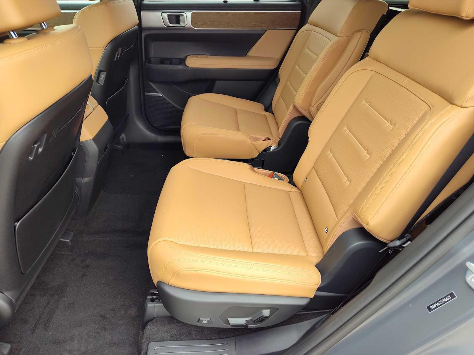 Thumbnail: 2026 Hyundai Santa Fe - 17