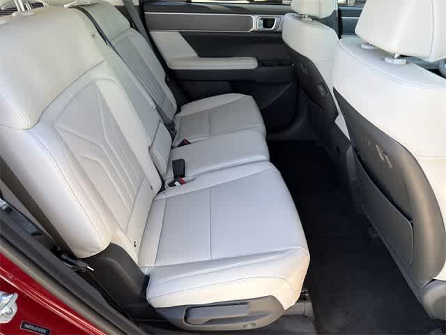 Thumbnail: 2026 Hyundai Santa Fe - 17