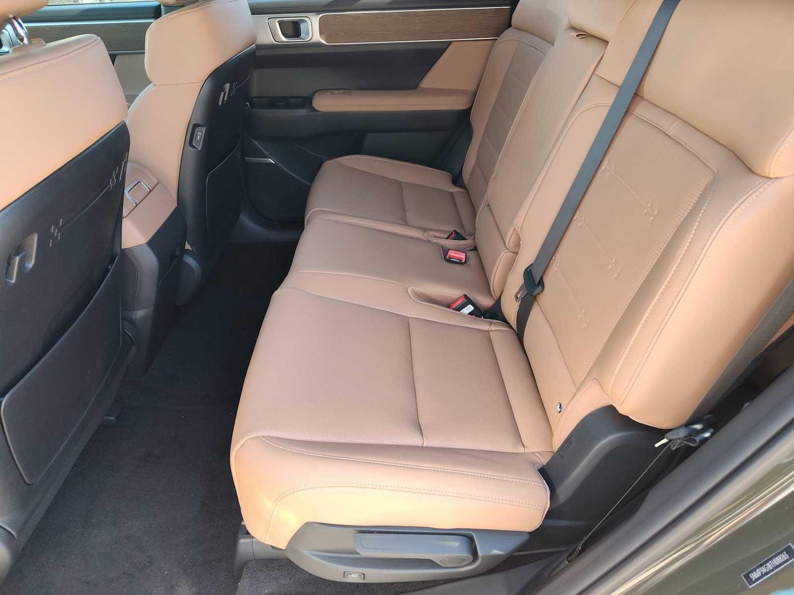 Thumbnail: 2026 Hyundai Santa Fe - 17