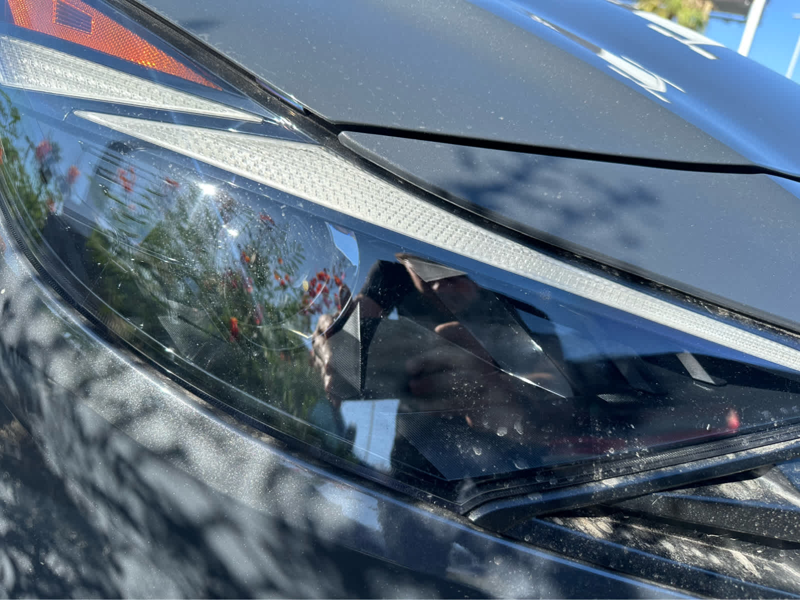 2023 Hyundai Elantra Blue 5