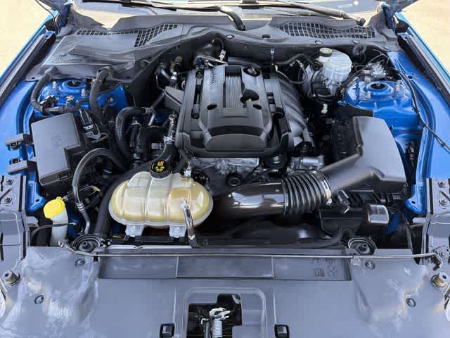 Thumbnail: 2019 Ford Mustang - 11