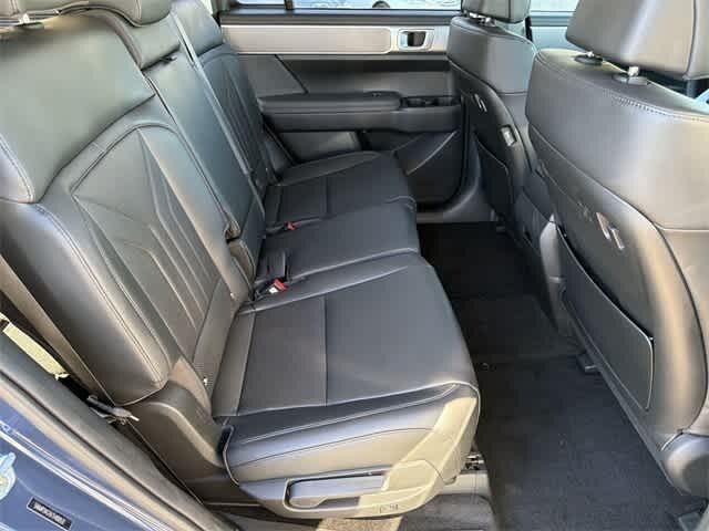 Thumbnail: 2026 Hyundai Santa Fe - 17