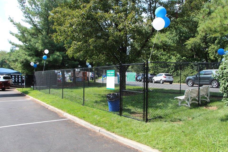 all american dog park.jpg