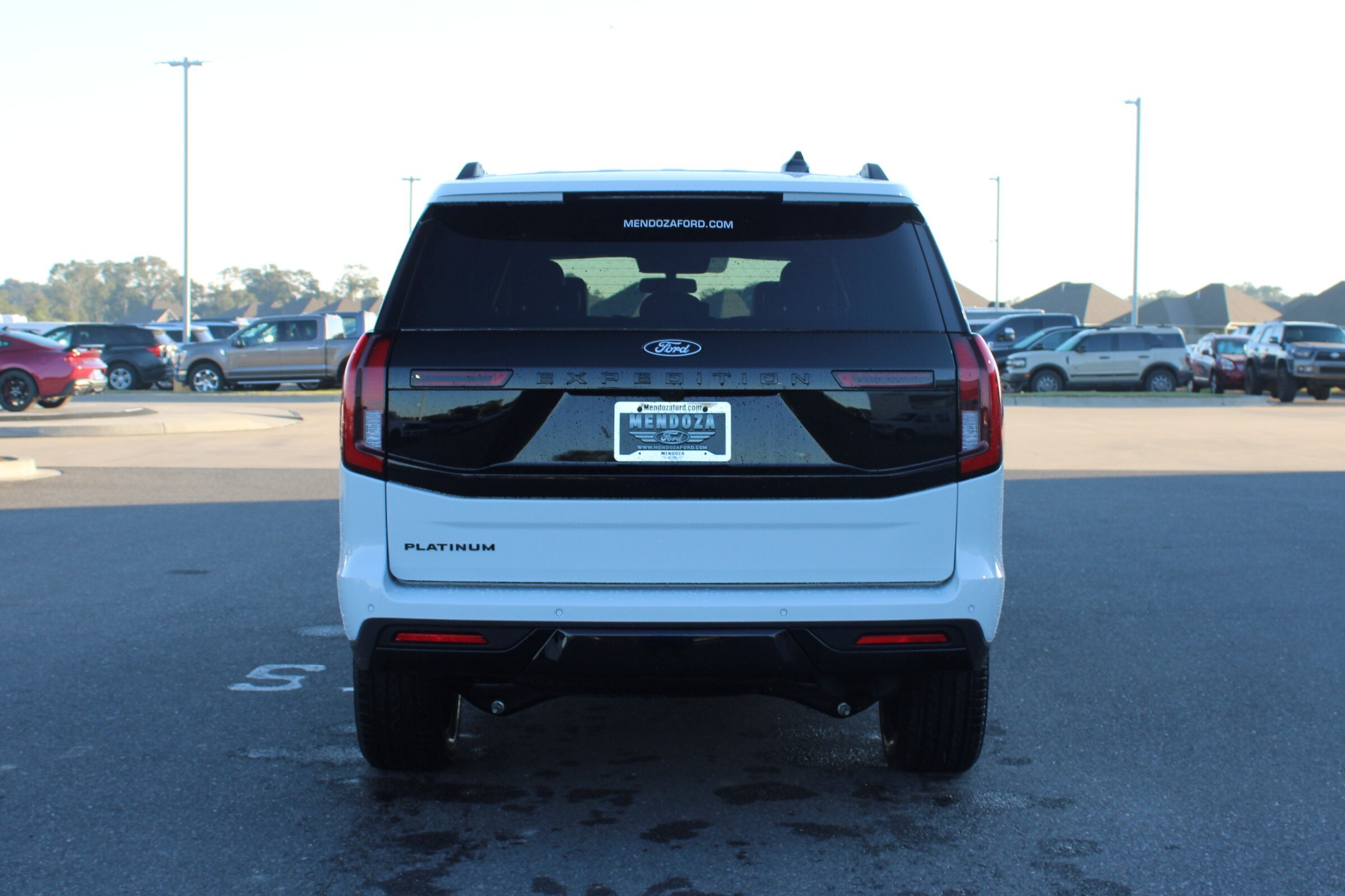 2025 Ford Expedition Platinum photo 3