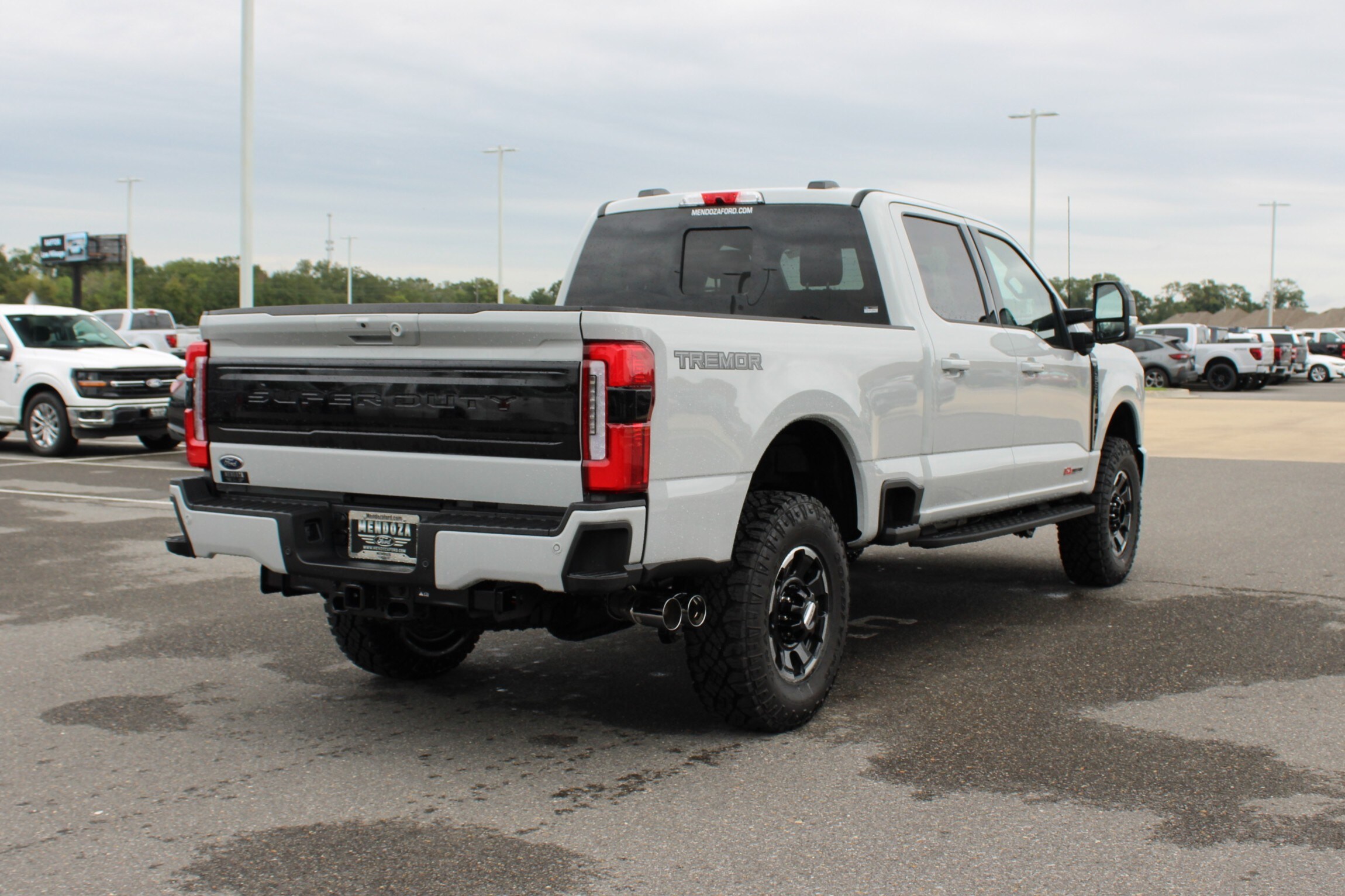 2025 Ford F-250 Platinum photo 3