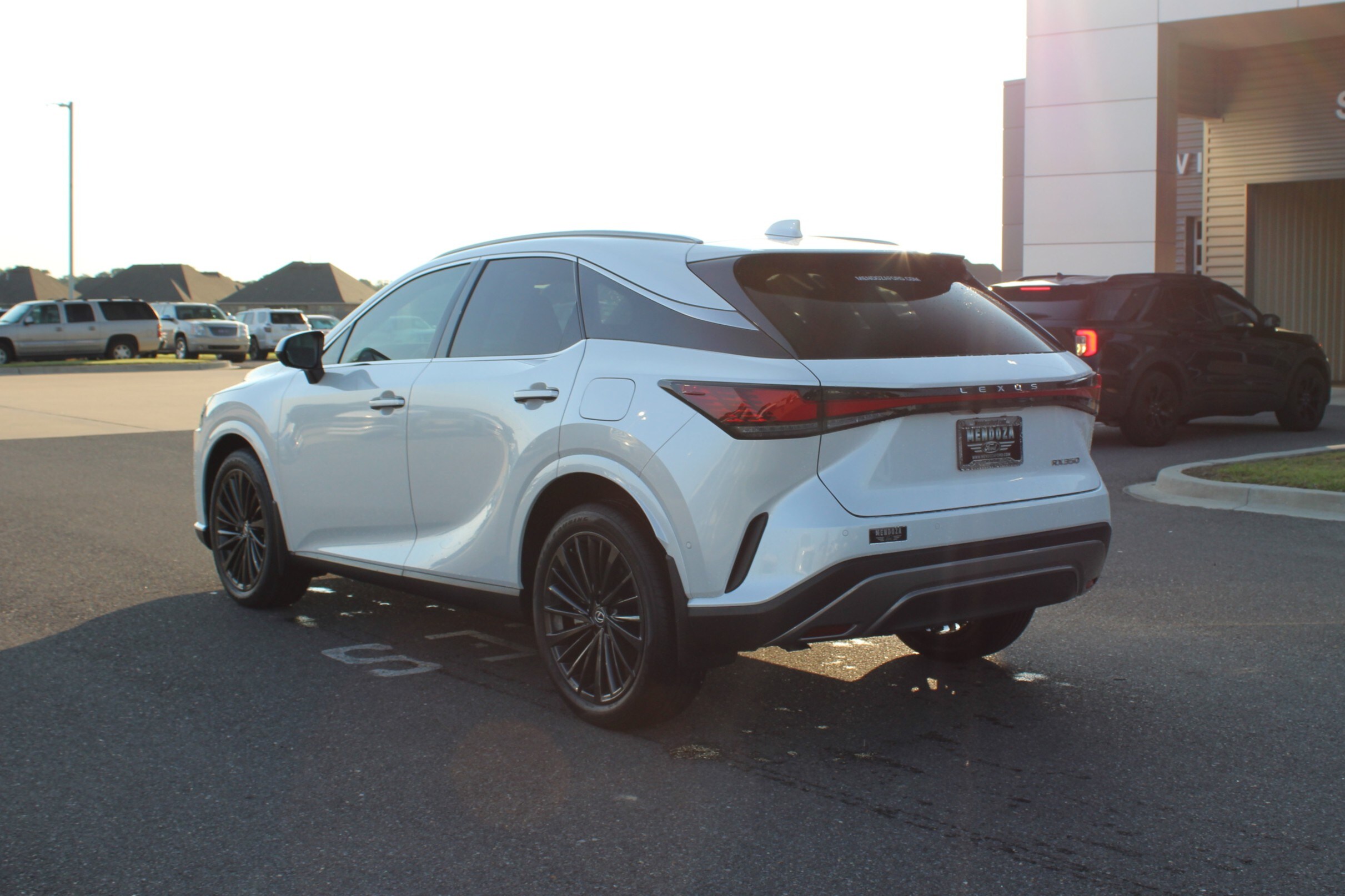 2024 Lexus RX 350 Luxury photo 2