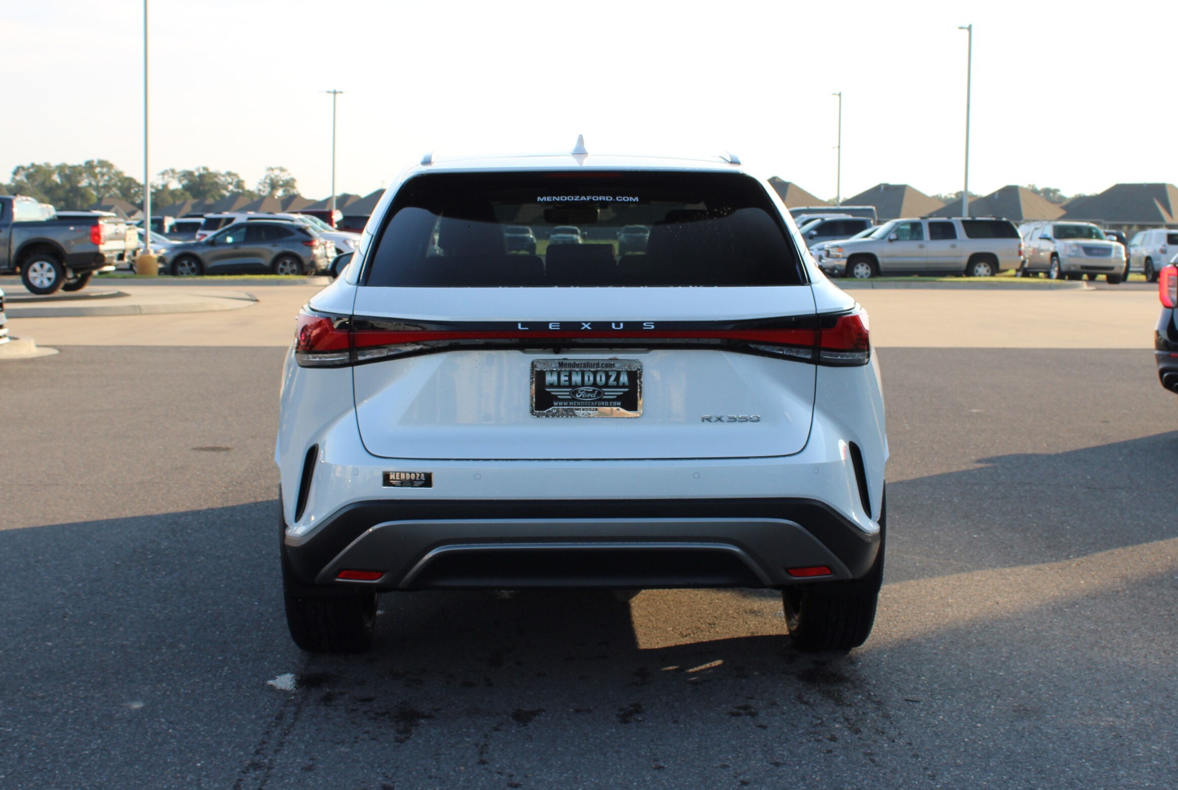 2024 Lexus RX 350 Luxury photo 3