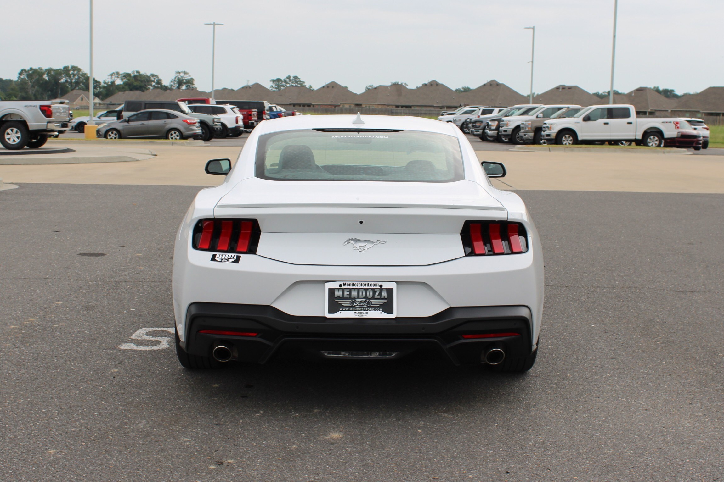 2024 Ford Mustang EcoBoost Premium photo 3