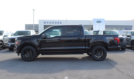 2025 Ford F-150 STX&reg; TRUCK