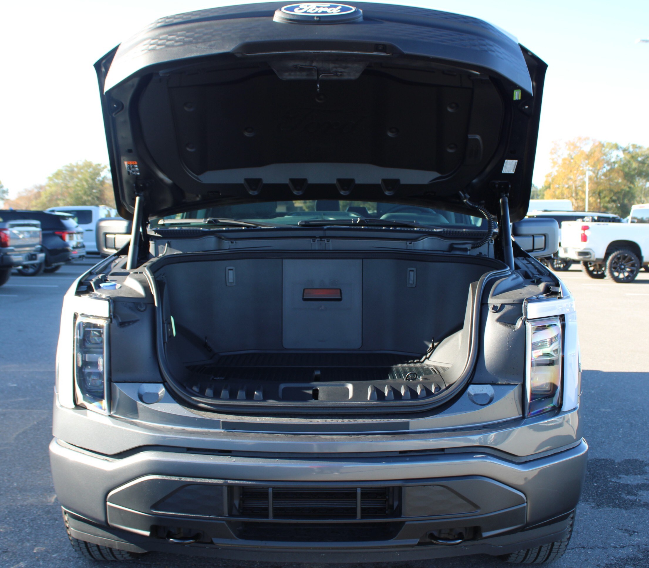 2025 Ford F-150 Lightning XLT - Photo 8