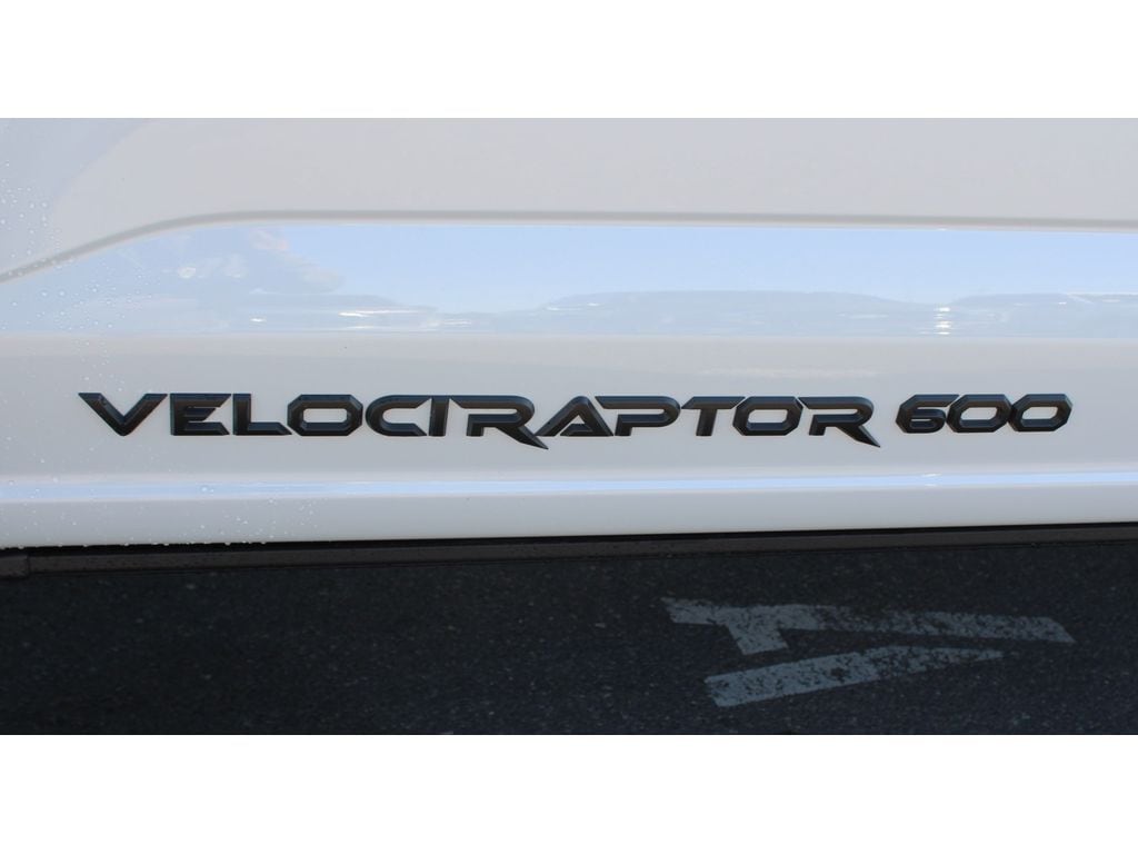 2025 Ford F-150 Raptor - Photo 11
