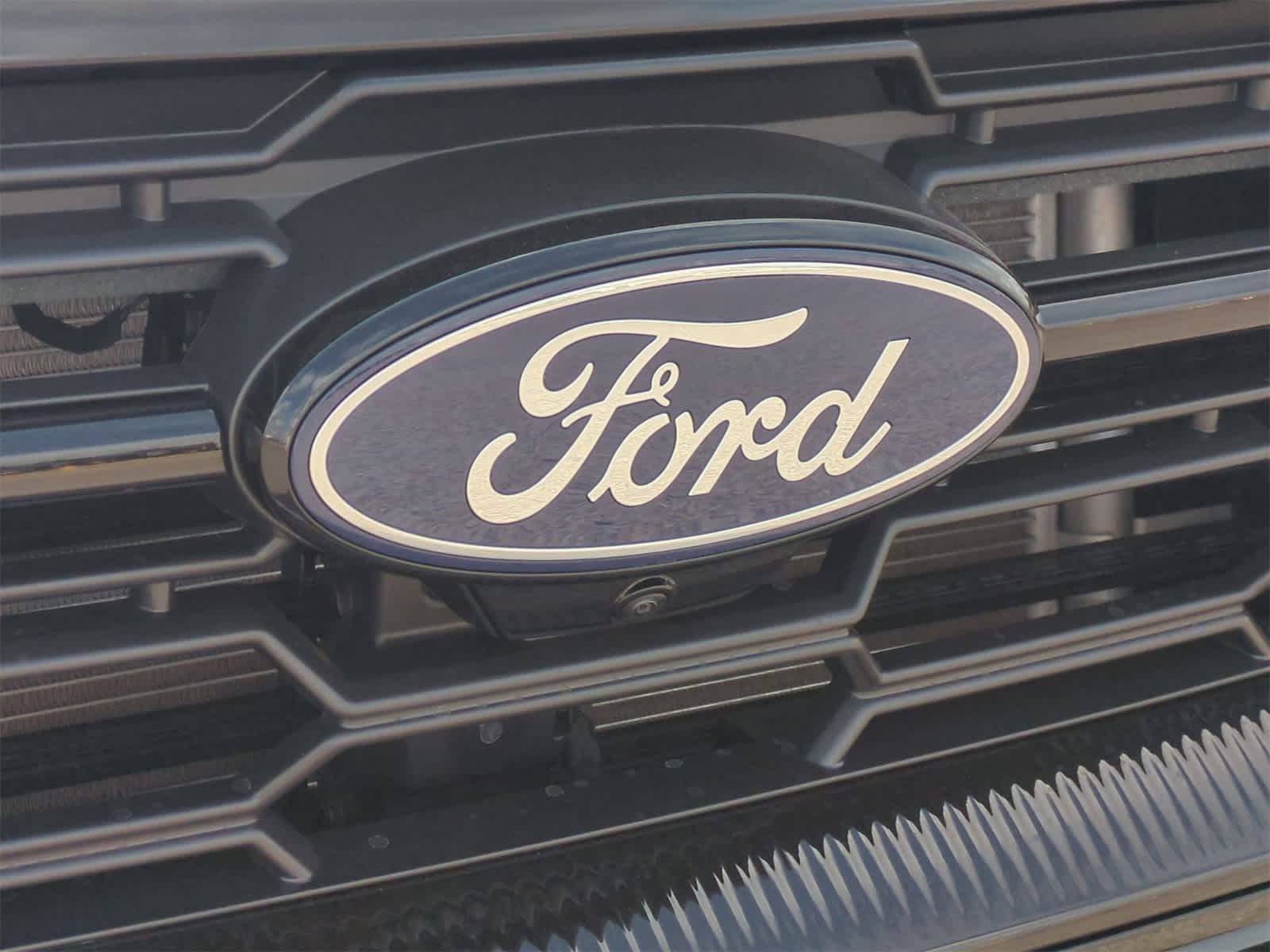 Thumbnail: 2025 Ford Expedition - 31