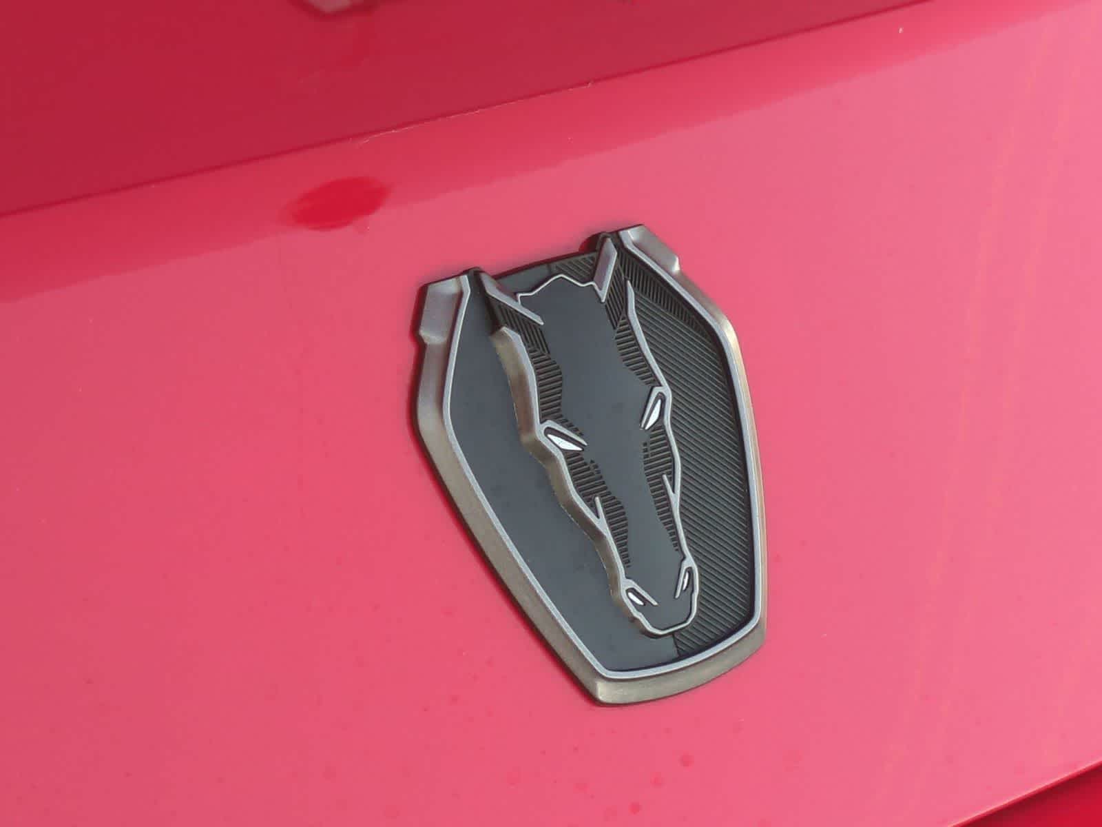 2025 Ford Mustang Dark Horse - Photo 30