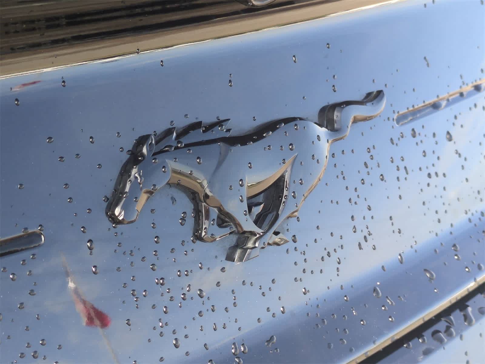 Thumbnail: 2022 Ford Mustang - 29