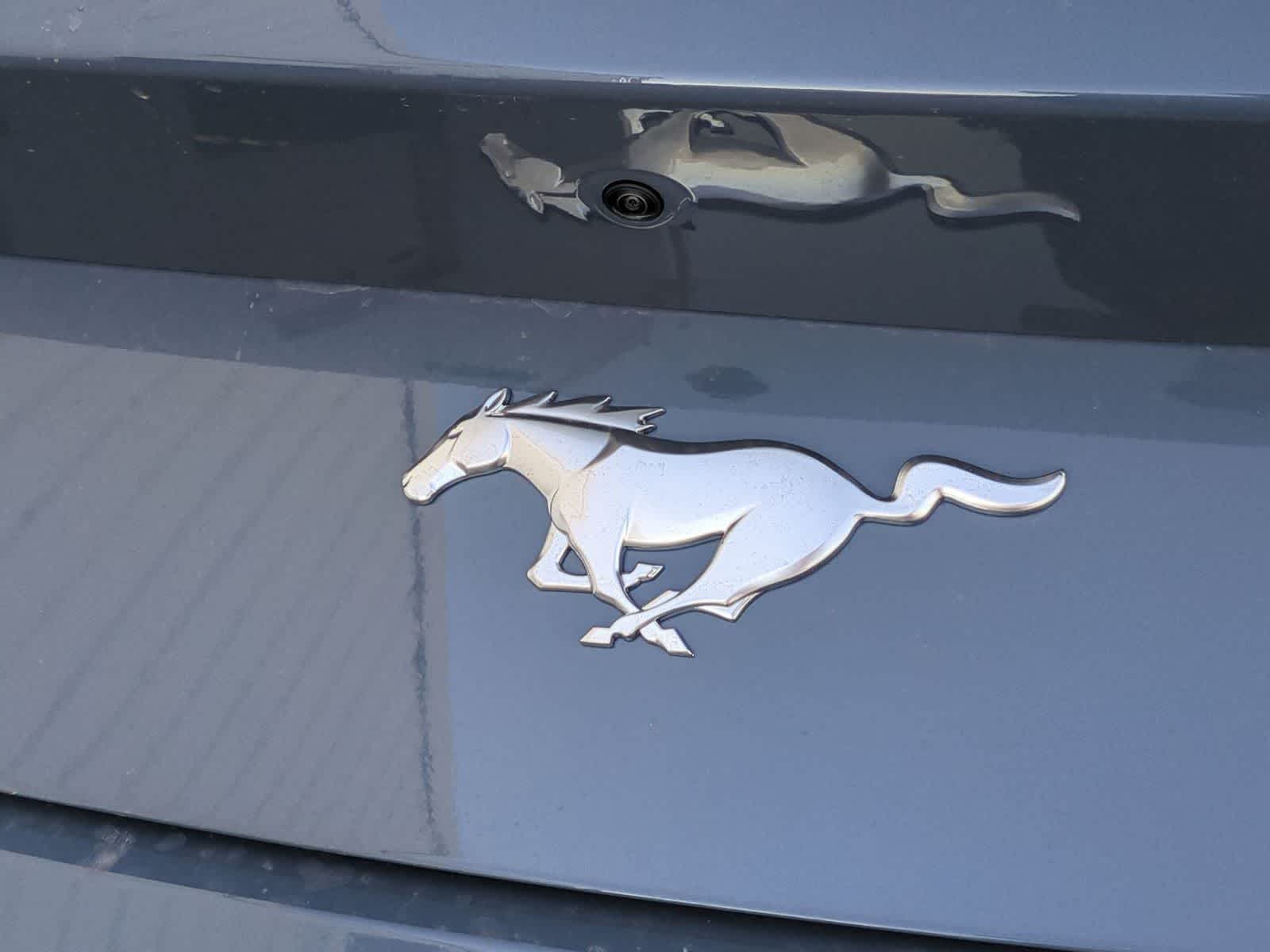 2025 Ford Mustang EcoBoost Fastback - Photo 29