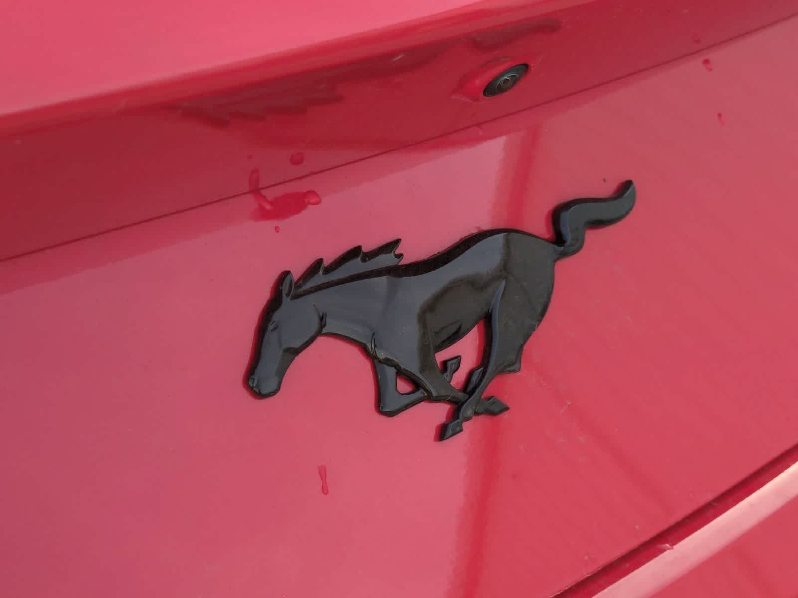 Thumbnail: 2025 Ford Mustang - 29