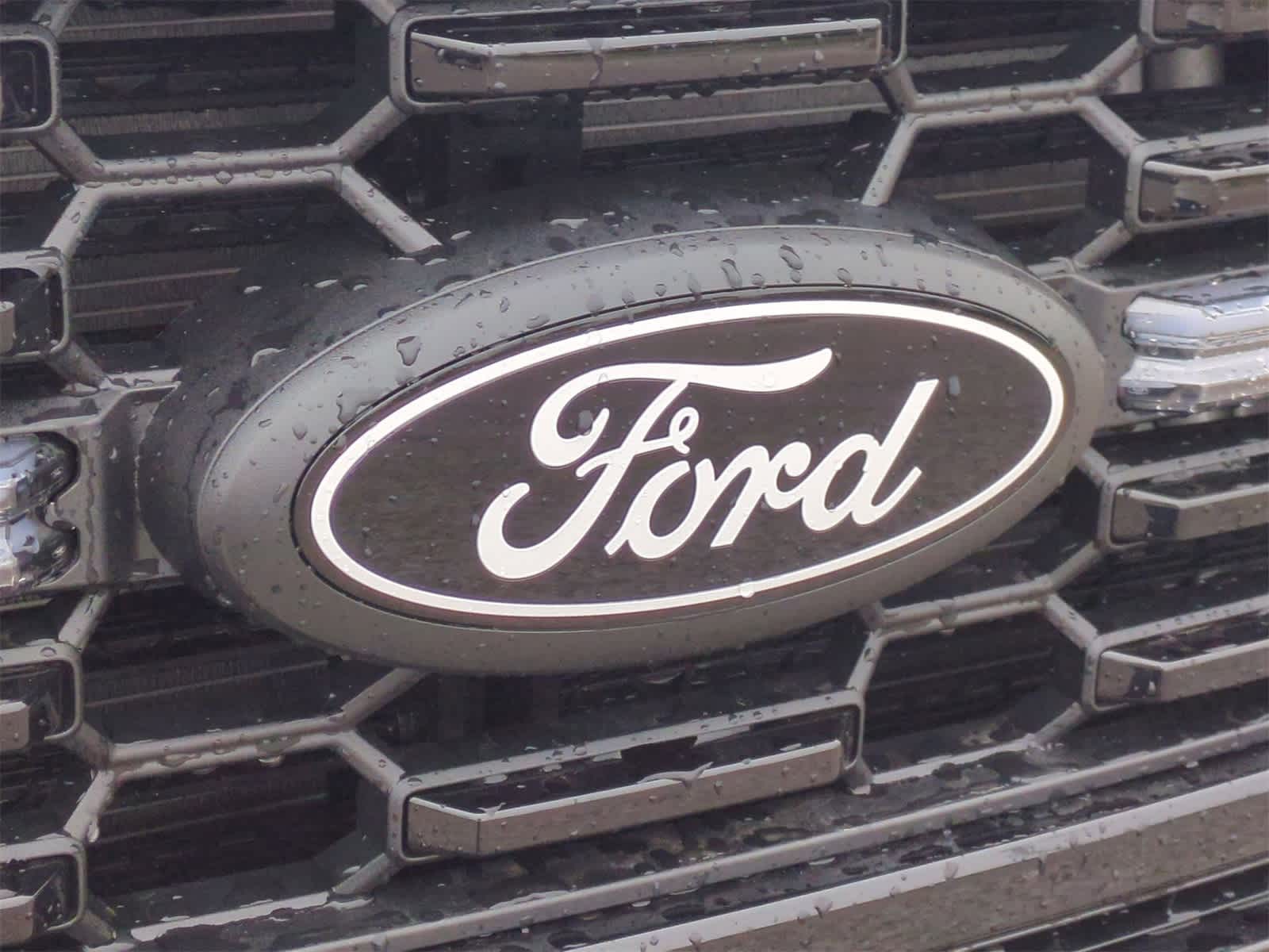 Thumbnail: 2025 Ford F-150 - 28