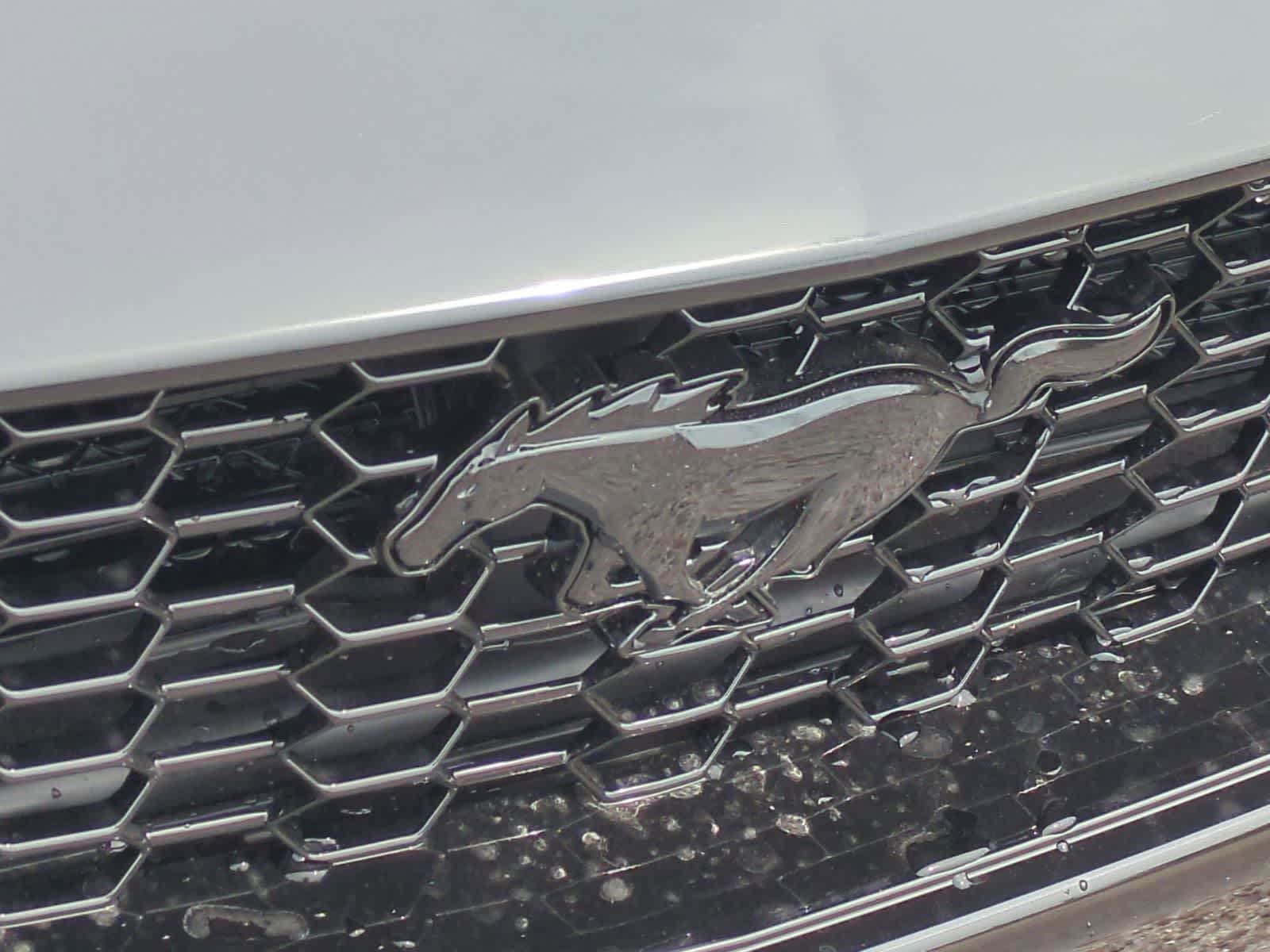 Thumbnail: 2026 Ford Mustang - 29