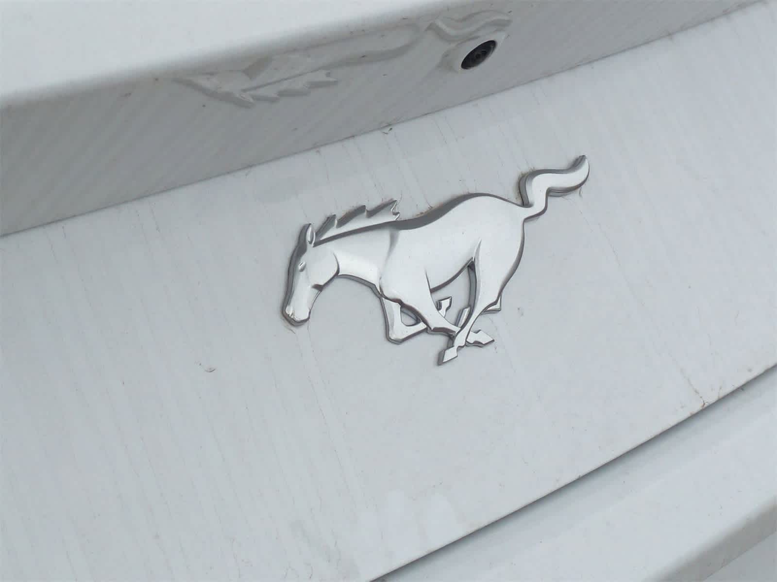 Thumbnail: 2025 Ford Mustang - 29