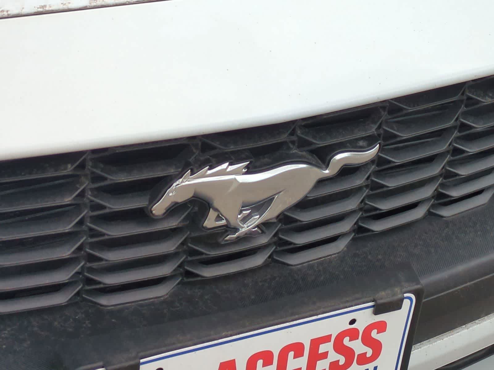 Thumbnail: 2025 Ford Mustang - 28