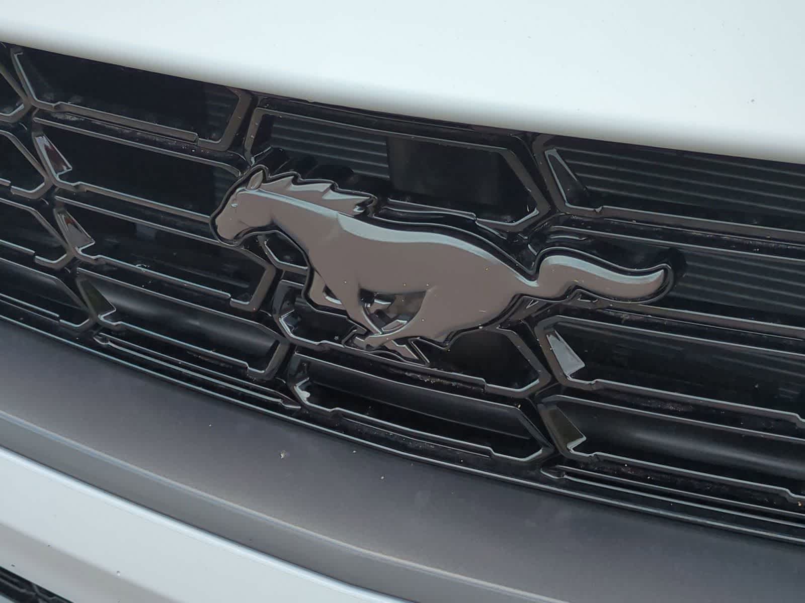 Thumbnail: 2025 Ford Mustang - 28