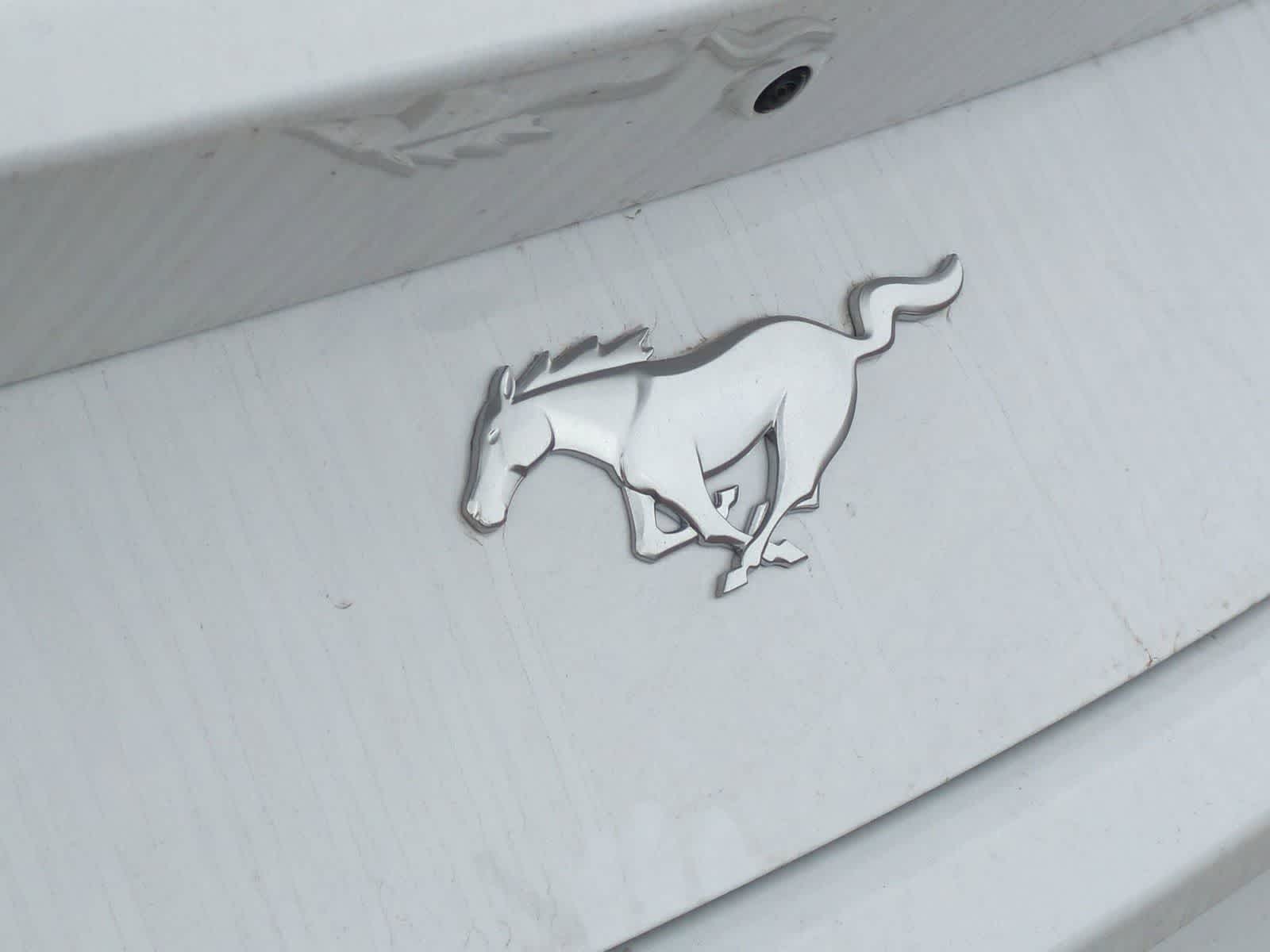 Thumbnail: 2025 Ford Mustang - 29