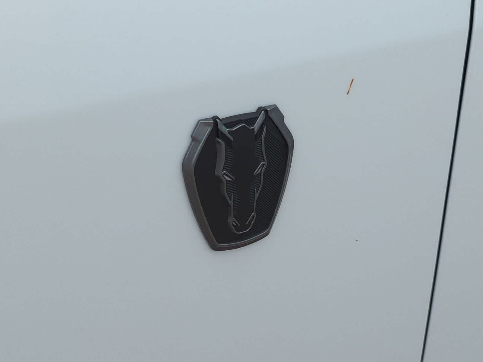 Thumbnail: 2025 Ford Mustang - 29