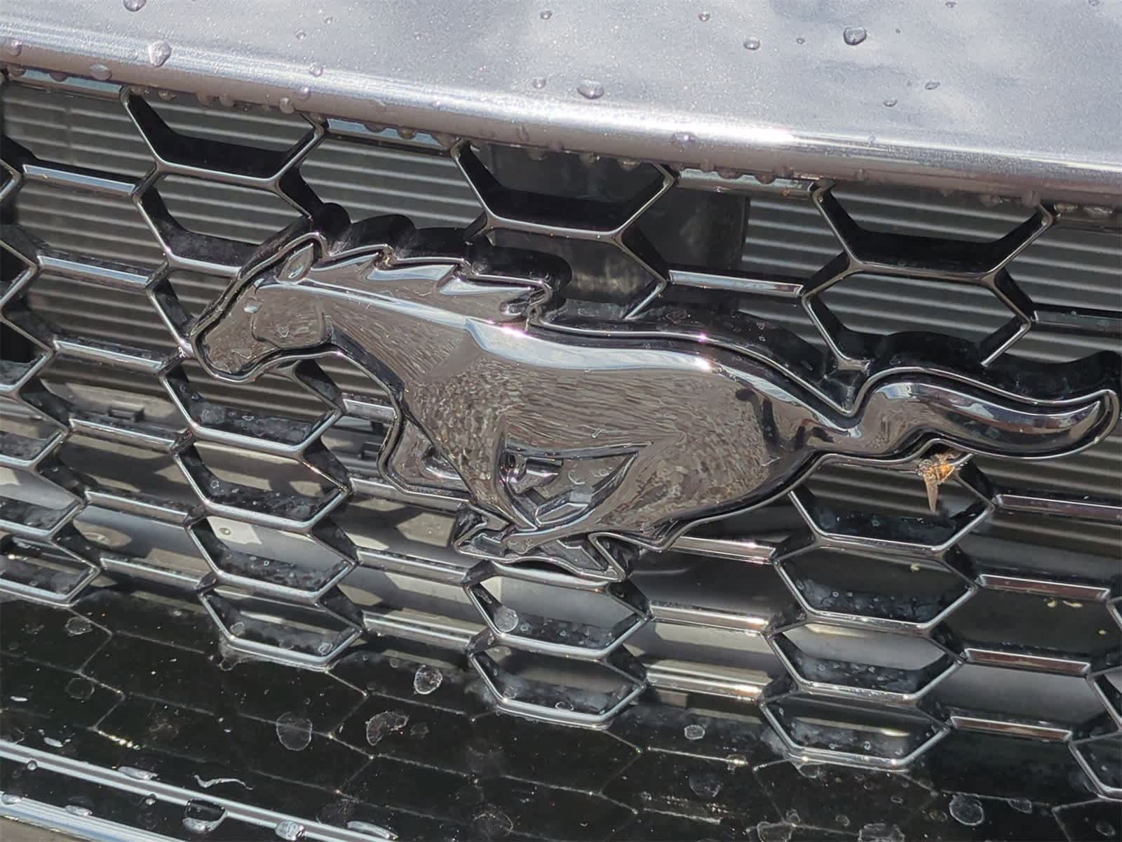 Thumbnail: 2024 Ford Mustang - 29
