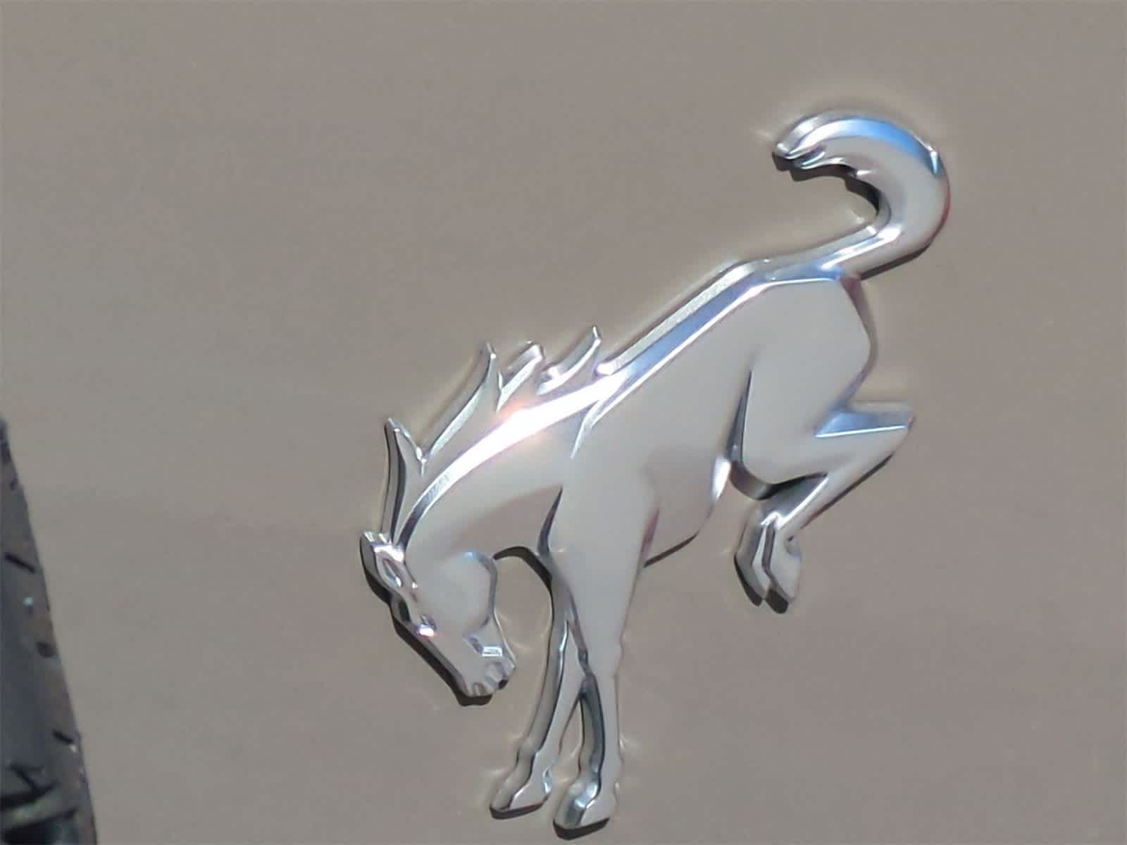 Thumbnail: 2025 Ford Bronco - 31