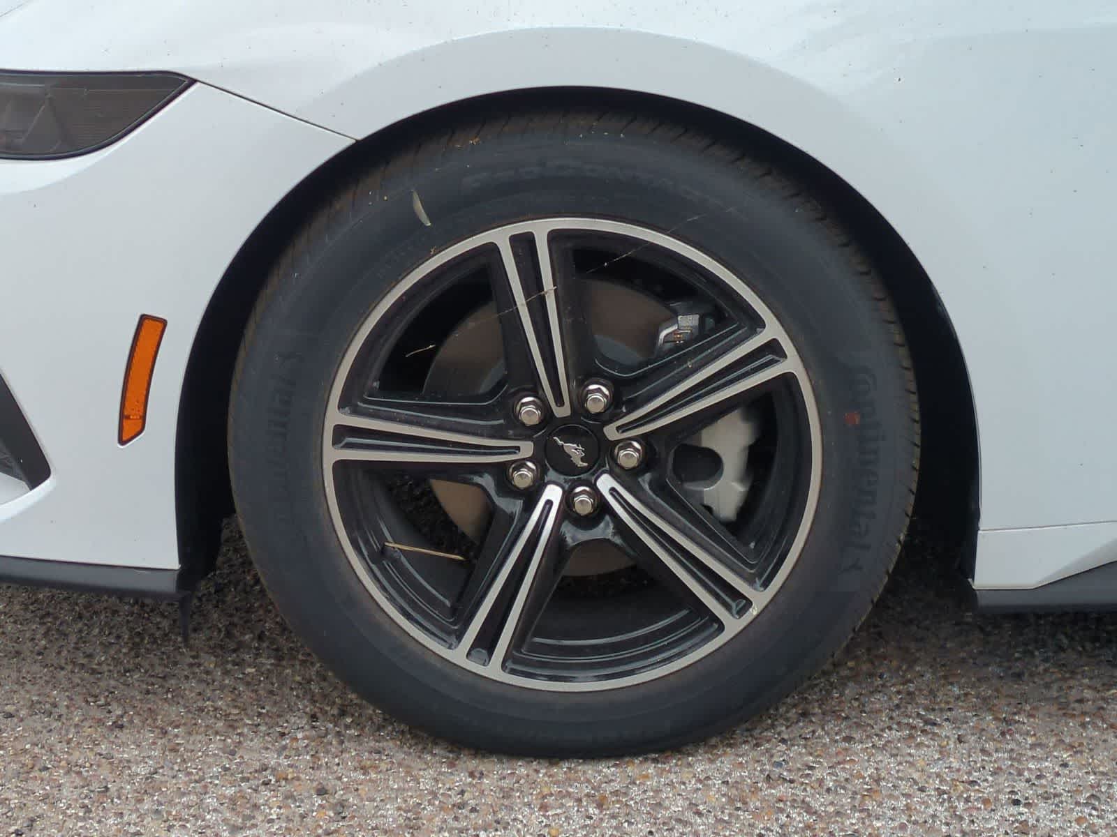 Thumbnail: 2025 Ford Mustang - 30